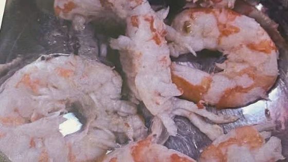 Ảnh của Lâm Đồng: Phụ huynh 'dậy sóng' vì lo thực phẩm bẩn lọt vào bếp ăn trường học